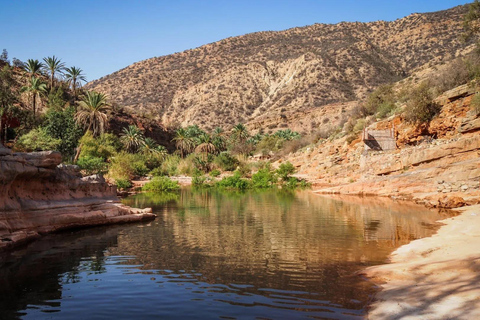 Agadir: Paradise Valley Early Morning Hike with Guide