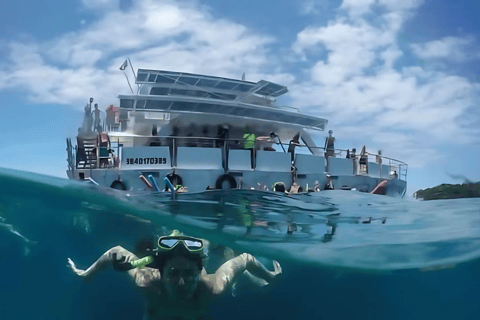 Rio de Janeiro: Exclusive catamaran ride and lunch included. Rio - Búzios Day Trip: exclusive catamaran ride and lunch included.