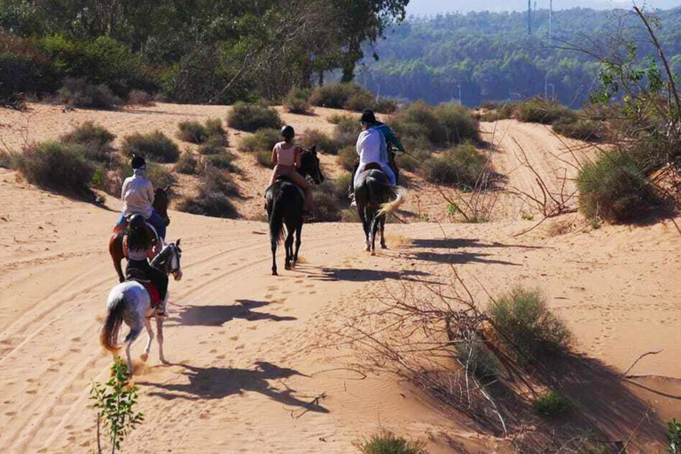 Agadir: Private Coco Polizzi Medina & Horse Ride
