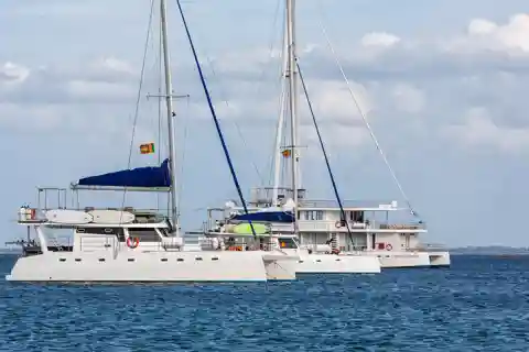 Trincomalee: Barco à vela de luxo para observação de golfinhos e baleias