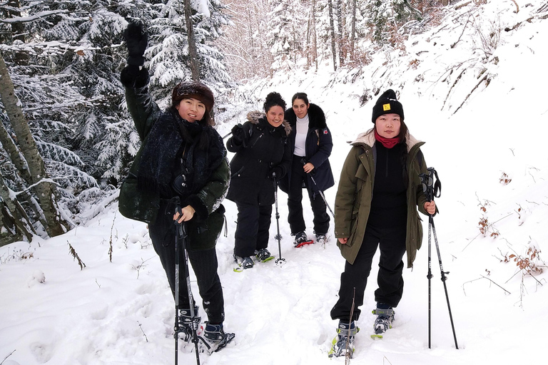 Discovery of the snowy Vercors in snowshoesFrom Gap: Winter Hiking and Rafting in the Vercors