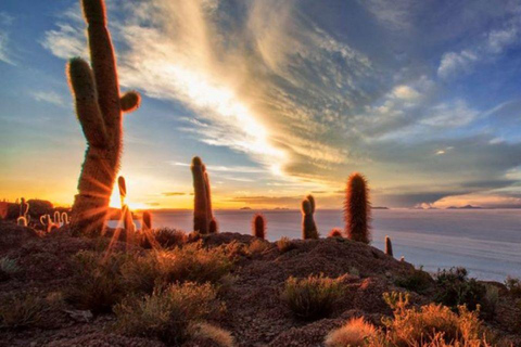 Salar de Uyuni 1 day + photo session + Sunset (English)