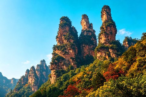 Zhangjiajie: 1-Day Tianmen & Avatar with Multilingual Guide Admission tickets not included