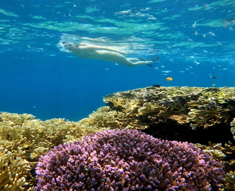 Coluna Coral, Esporte dá sorte