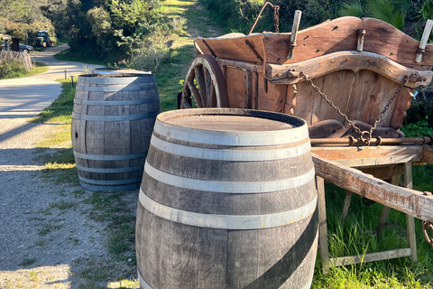 Port Grimaud & Provence Wine Private Tour | Little Venice