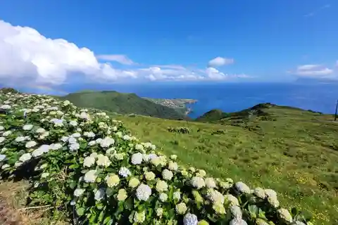 Full Tour - Discover Flores - the Island of Your Dreams