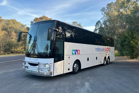 From Sydney: One Way Express Bus Transfer to Melbourne 7:45 AM Departure