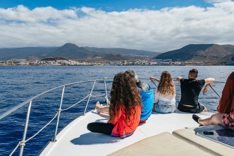 Teneriffa: Whale & Dolphin Tour mit lokalem SkipperTour mit Treffpunkt