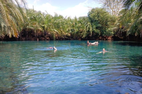 Arusha: Materuni Waterfalls and Chemka Hot Springs