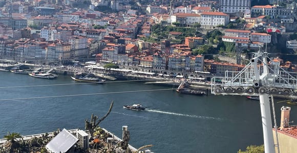 Porto: Historic Center Highlights Small Group Walking Tour