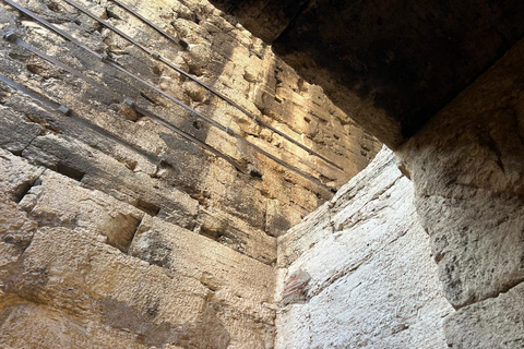 Rome: Colosseum Underground and Arena Floor Guided Tour Colosseum Underground + Arena Floor Tour