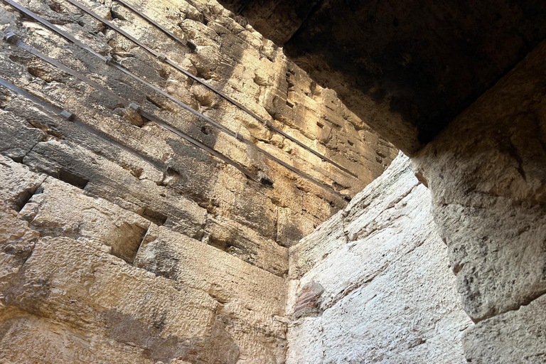 Rome: Colosseum Underground and Arena Floor Guided Tour Colosseum Underground + Arena Floor Tour