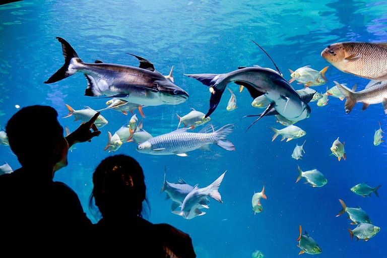 Angkor Wildlife & Aquarium Private Round-Trip Transfer Private Round-Trip Transfer by Tuk Tuk