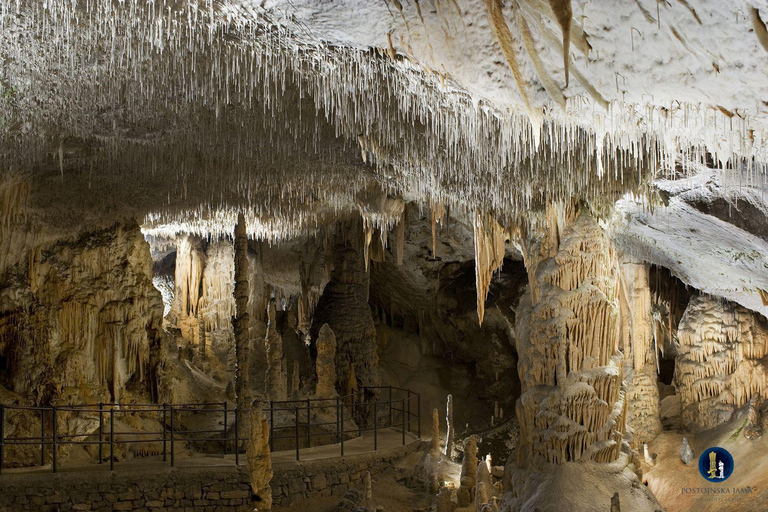 Depuis Ljubljana : Grotte de Postojna, château de Predjama et visite de Piran