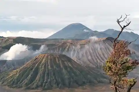 Mount Bromo Sunrise 1 Day Private Tour From Surabaya/Malang