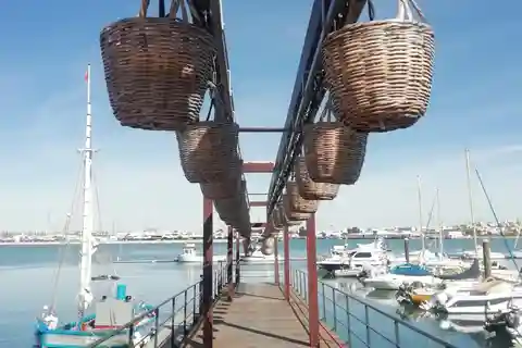 De Lagos : Route de la sardine en conserve (privée)