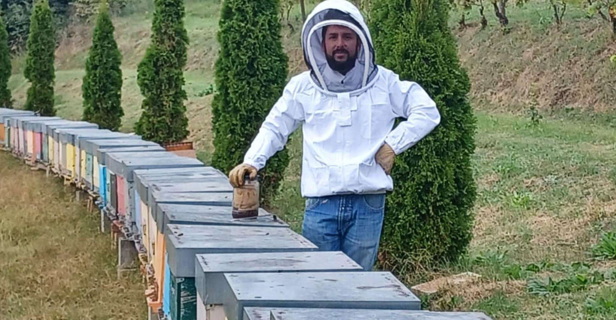 Tour dell'apicoltura e degustazione di miele nel Monferrato