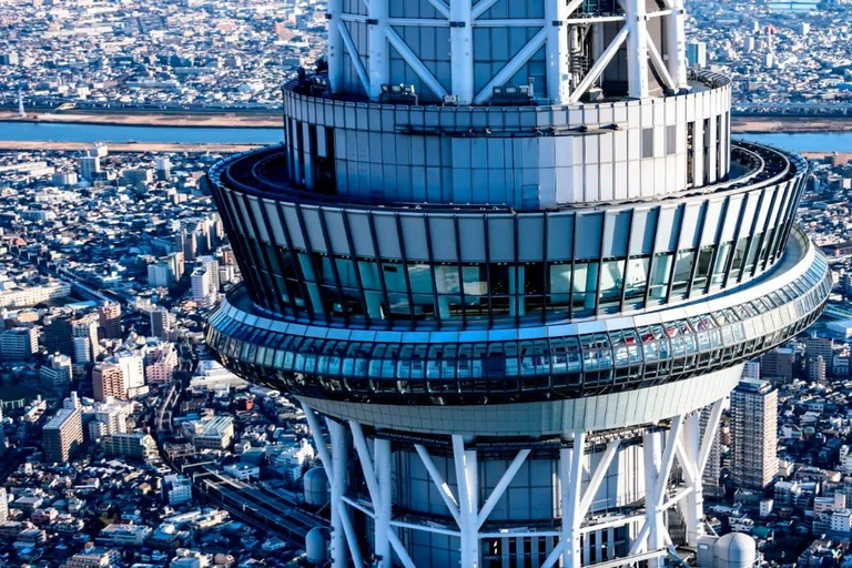 Tokyo: Private 1-Day Tour with English-Driver, Customizable