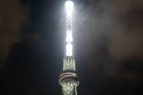 Tokyo: Luxury Private Full-Day City Tour by Alphard Luxury Alphard