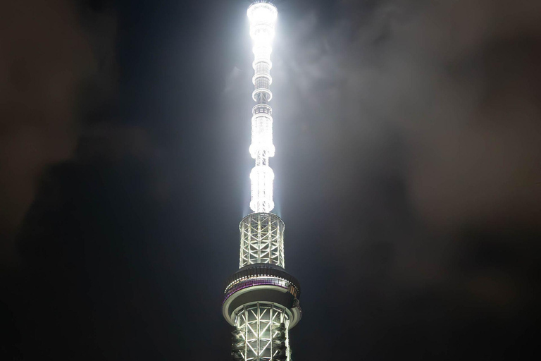 Tokyo: Luxury Private Full-Day City Tour by Alphard Luxury Alphard