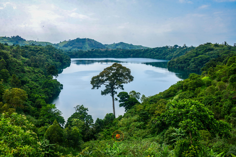 Uganda 10-tägige Wild- und Primaten-Safari.