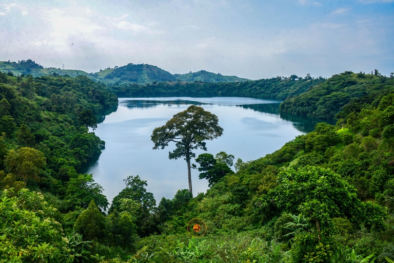 Uganda 10-dniowe safari wśród dzikich zwierząt i naczelnych.