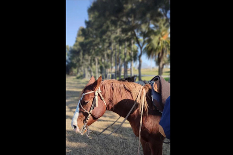 Colonia del Sacramento: Countryside Horseback Riding Tour