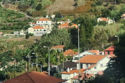 جولة يوم كامل في جزيرة ماديراجولة جزيرة ماديرا ليوم كامل