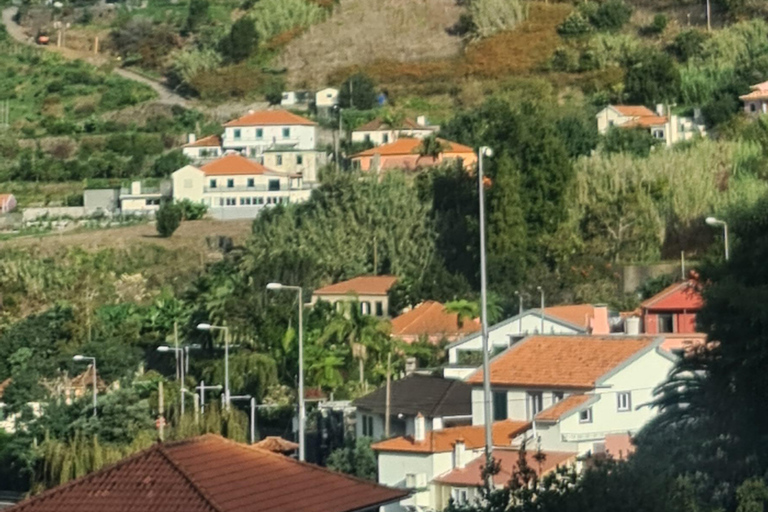 جولة يوم كامل في جزيرة ماديراجولة جزيرة ماديرا ليوم كامل