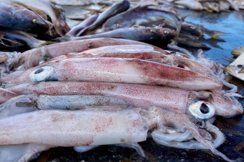 Bagamoyo: Explore Historic Slave Trade Route & Kaole Ruins