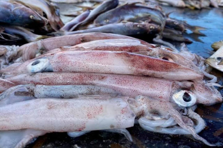 Bagamoyo: Explore Historic Slave Trade Route & Kaole Ruins