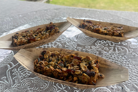 Guadeloupe half-day: immersive tour in the heart of sugar cane An immersive half-day in the heart of Guadeloupe's sugar cane