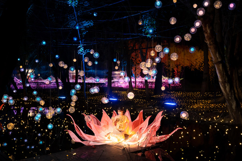 The Lens: Once-a-Year Light Festival Journey Light Festival at Na Satta Park: Magical Once-a-Year Moment