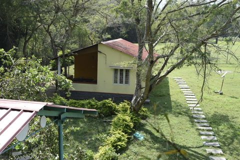Bangalore to Mysore Day Tour With Guide and stay option Bangalore to Mysore Day Tour With Guide and stay option