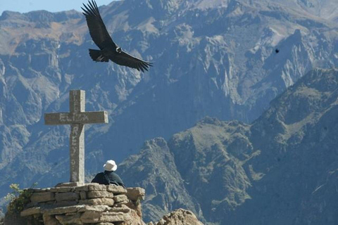 Arequipa: Colca Canyon Trekking 3-Day Tour & 2 Nights