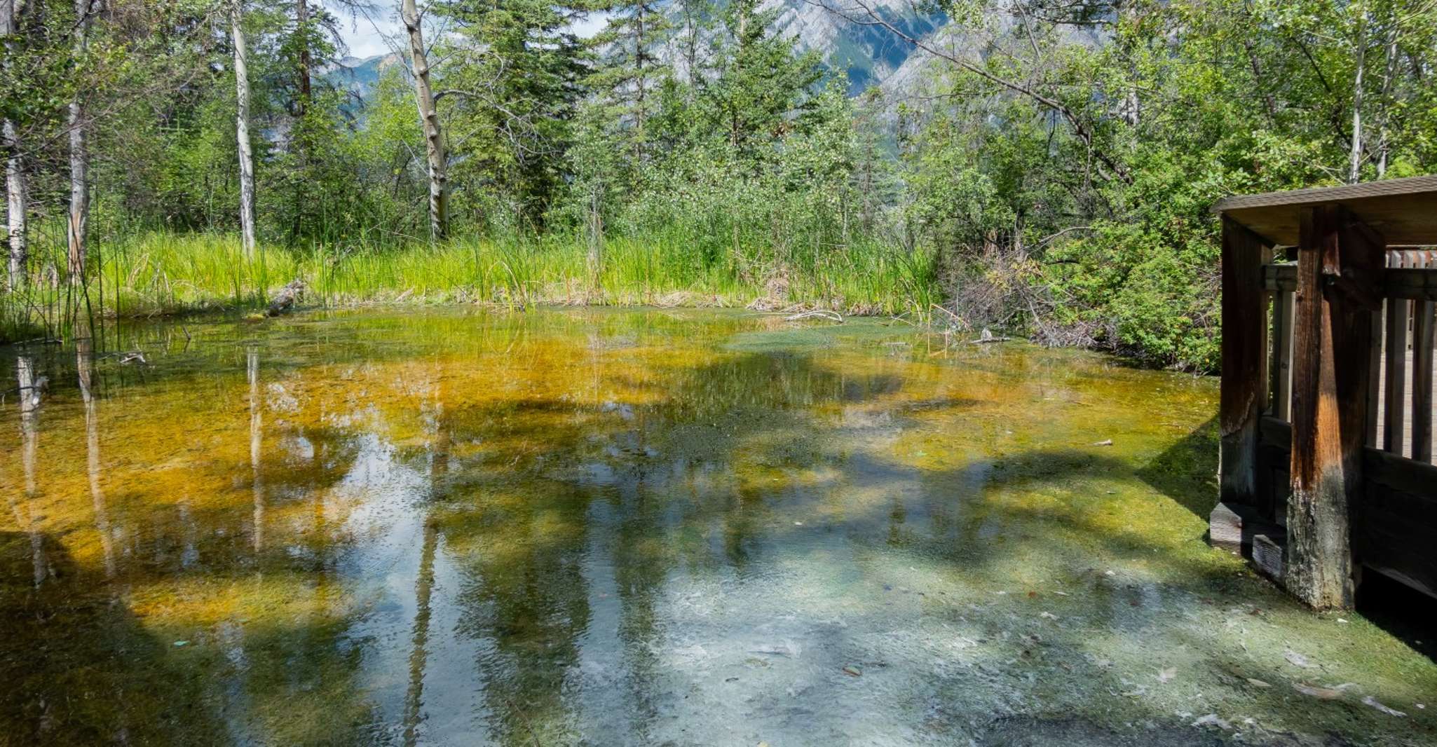 Banff, Historic Cave & Basin Self-Guided Walking Audio Tour - Housity