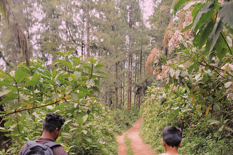 Escursione naturalistica ad Arusha alle cascate di Napuru.