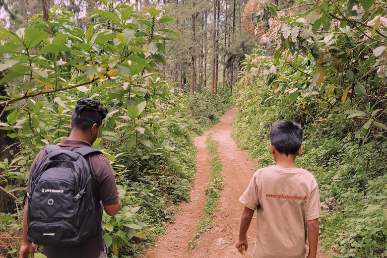 Arusha nature hike to Napuru waterfalls.