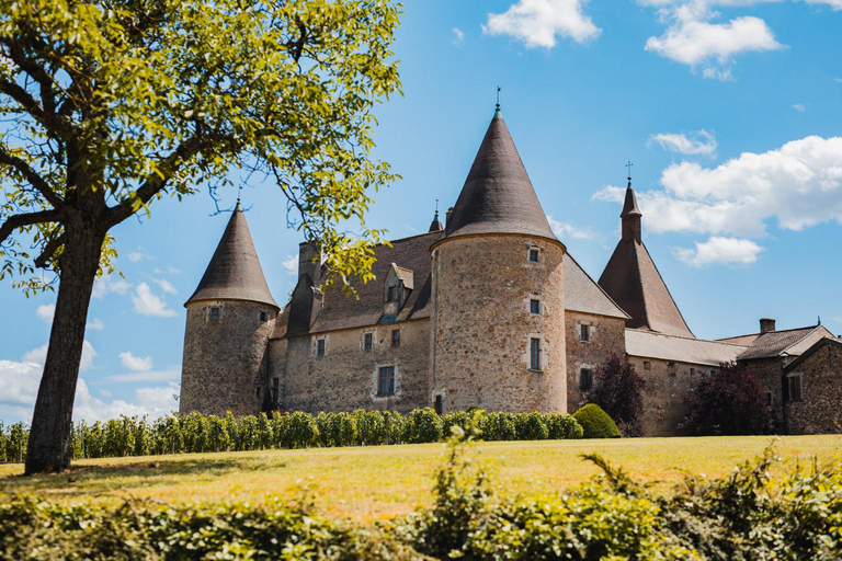 Lyon: Beaujolais Wine Tour with Tastings and Castle Visits