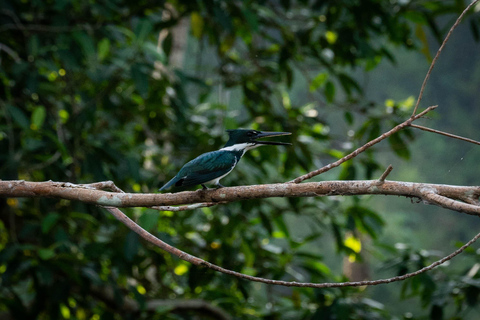 Santa Marta: Taironaka Indigenous Tour