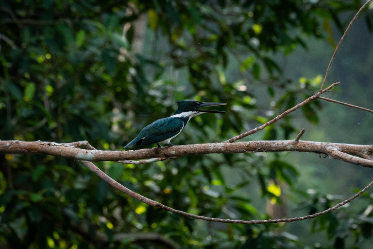 Santa Marta: Taironaka Indigenous Tour