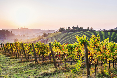 Florence : Excursion d'une journée à Sienne et San Gimignano avec déjeuner et vin