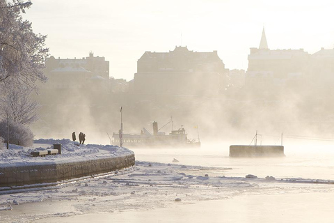 Stockholm: Archipelago Winter/Spring Boat Tour with Guide