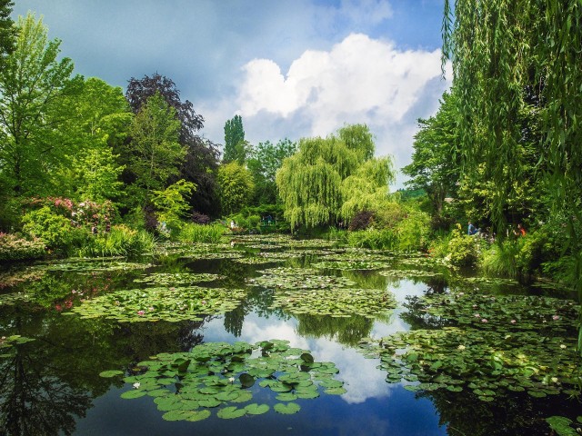 Visit Giverny Private Guided Walking Tour in Giverny, France
