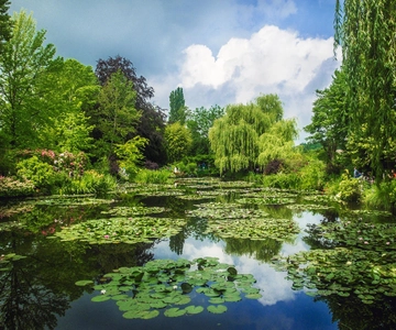 Giverny Private Guided Walking Tour