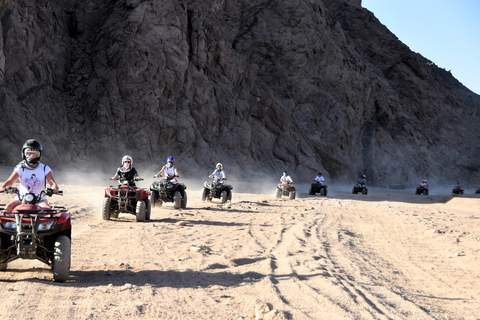 Marsa Alam: Desert Quad Bike, Camel Ride, and Bedouin Tour
