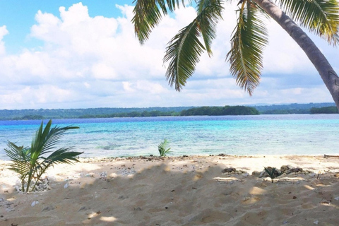 Santo: Dany Island Marine Sanctuary Day Tour with Lunch