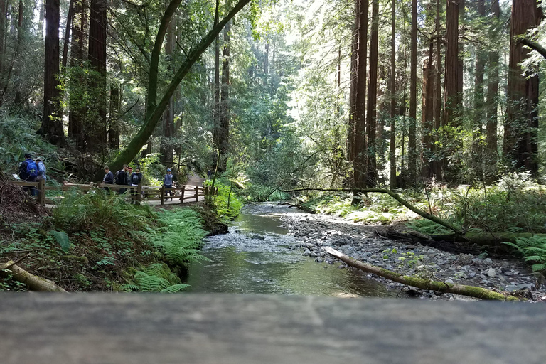 Stadsrondleiding San Francisco + Muir Woods en SausalitoSan Francisco Grand City Tour + Muir Woods en Sausalito