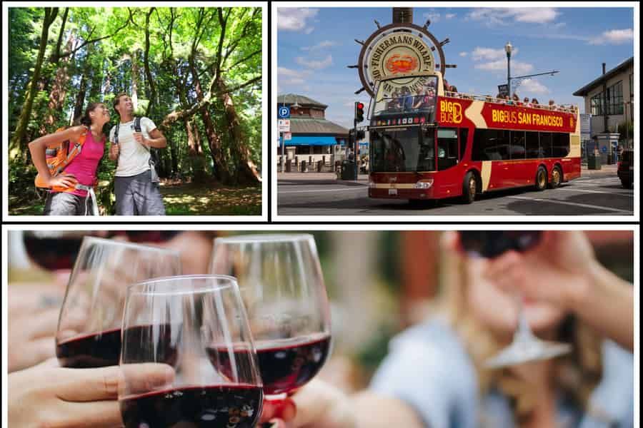 Das Beste von San Francisco: Weinland, Redwoods und Hop-On/Hop-Off-Tour. Foto: GetYourGuide Das Beste von San Francisco: Weinland, Redwoods und Hop-On/Hop-Off-Tour. Foto: GetYourGuide