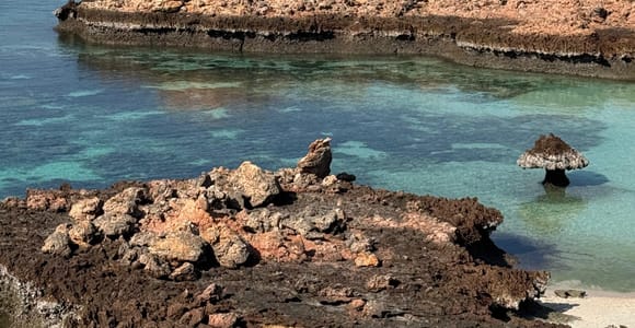 Oman: Daymaniyat Islands Visit and Snorkeling